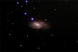 M66.htm