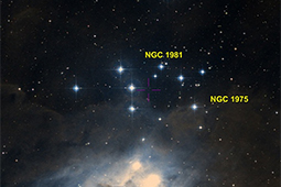 NGC1981.htm